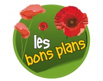 Sticker BONS PLANS 04 ETE 