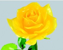 Rose jaune de St Valentin