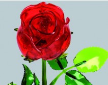 Rose rouge de Saint Valentin fermée