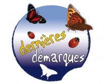 Sticker DERNIERES 04 ETE 