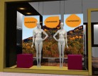 Affiche de vitrine Automne 02 PHOTO