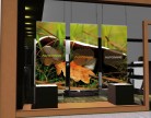 Affiche de vitrine Automne