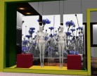 Affiche vitrine printemps 01 photo