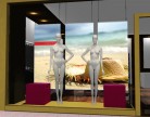 Affiches de vitrine t