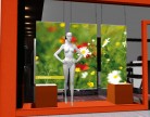 Affiches de vitrine Printemps 02 fleurs des champs