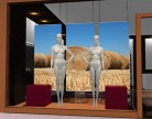 CAMPAGNE 09 PHOTO