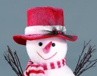 Dcorations d'Hiver