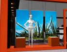 Nouvelles Collections