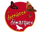 Stickers Dmarques